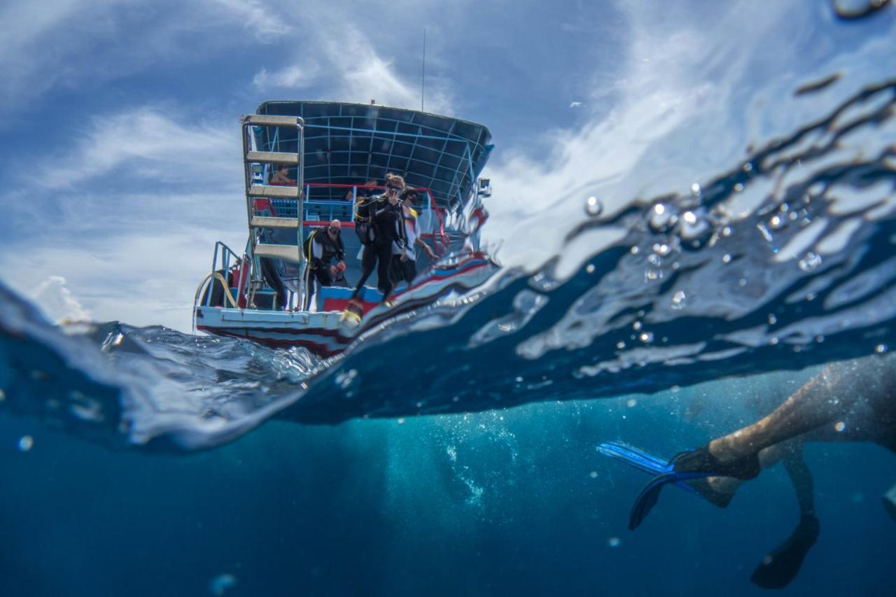 Divers House Ko Tao Exterior photo